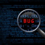 Software Bug